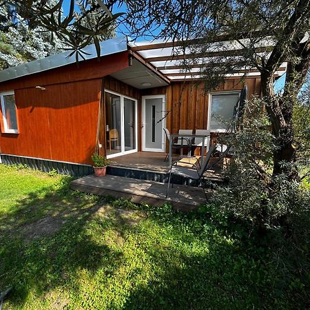 Ferienhaus Zeulenrodaer Meer Bagian luar foto