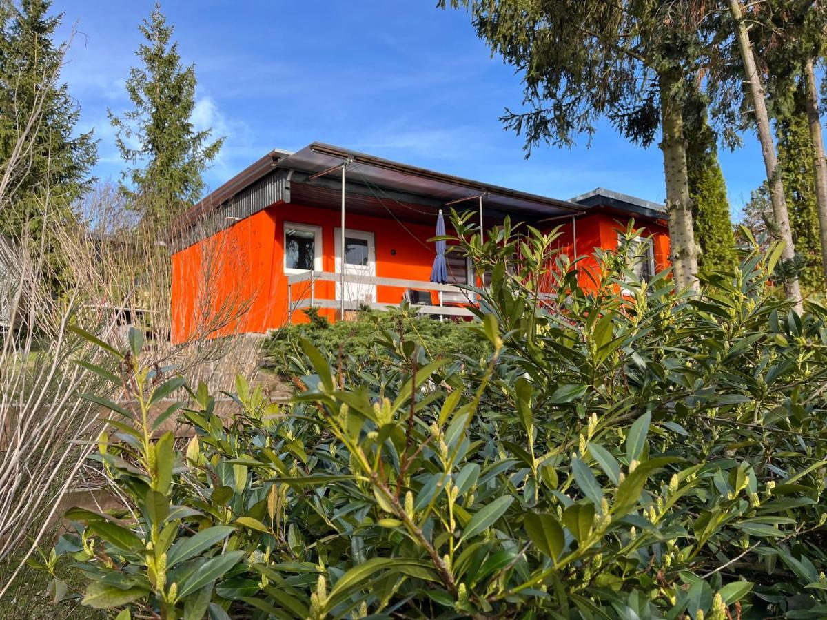 Ferienhaus Zeulenrodaer Meer Bagian luar foto
